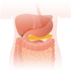 胰腺癌临床表现及诊断